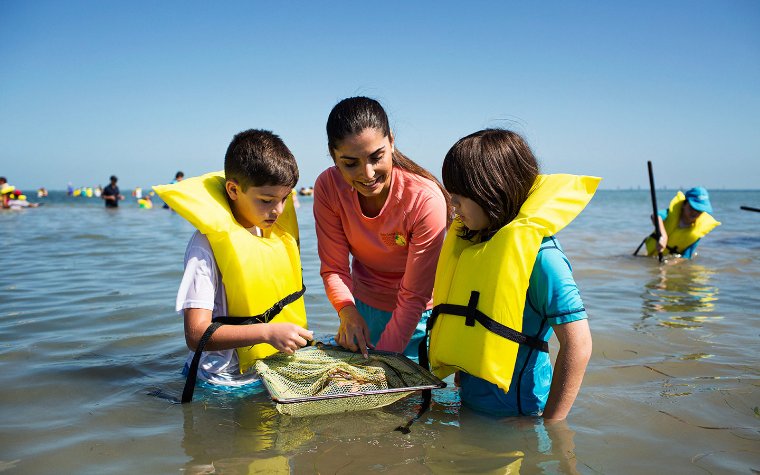 Children examining sea life with a naturalist Marjory Stoneman Douglas Biscayne Nature Center