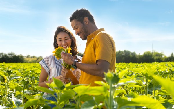Couple in field of sunflowers in South Dade