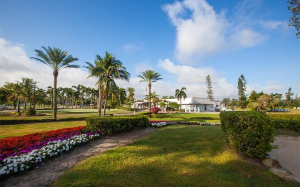 Flowers and palm trees at Miami Springs Golf & Country Club