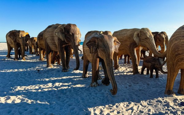 Life-size wooden elephants on the beach 