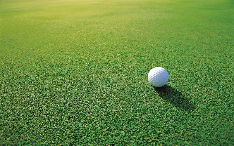 Pallina da golf sul verde