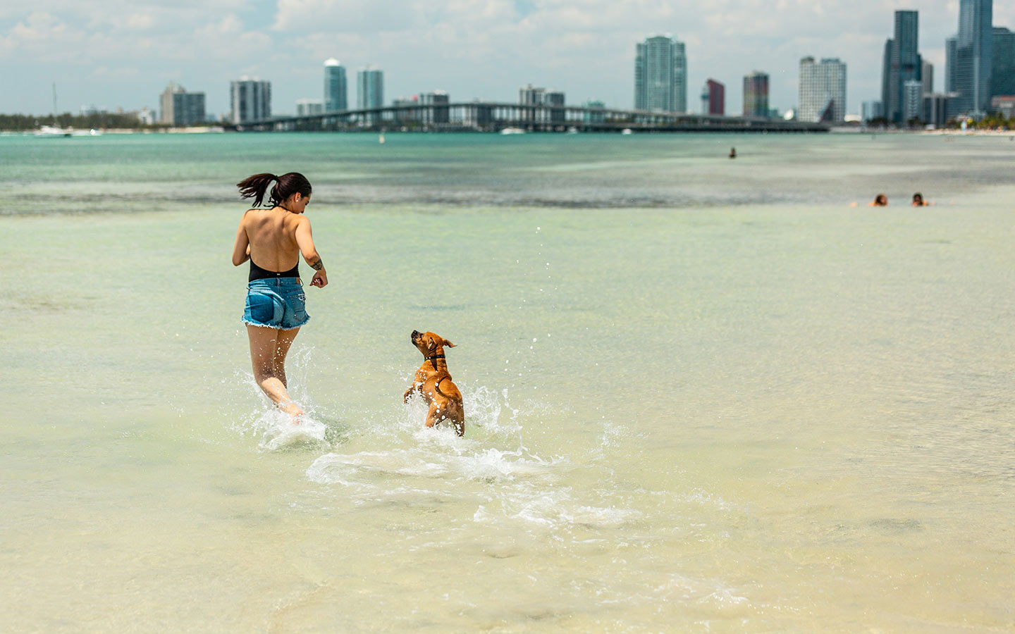 Frau und Hund im Beach mit Rickenbacker dahinter