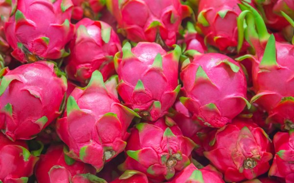 Fruta del dragón rosa