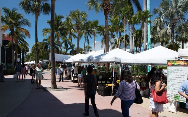 People enjoying the Lincoln Road Farmers Market
