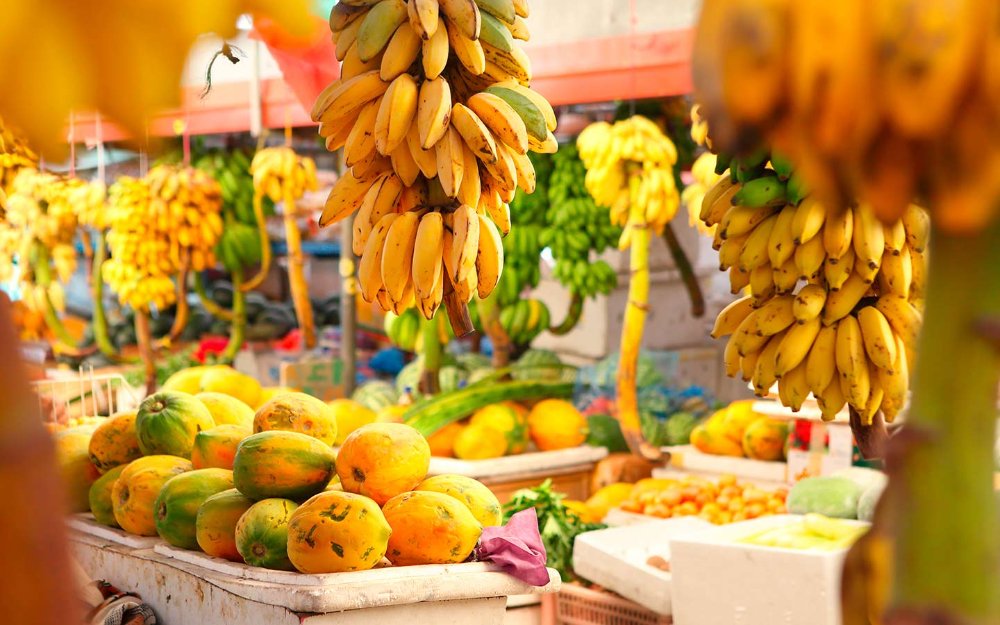 Brasil é o 3° maior produtor de frutas do mundo
