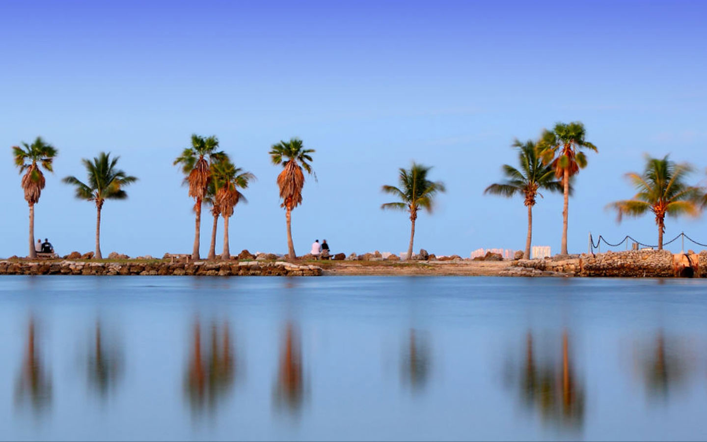 Atoll at Matheson Hammock Park