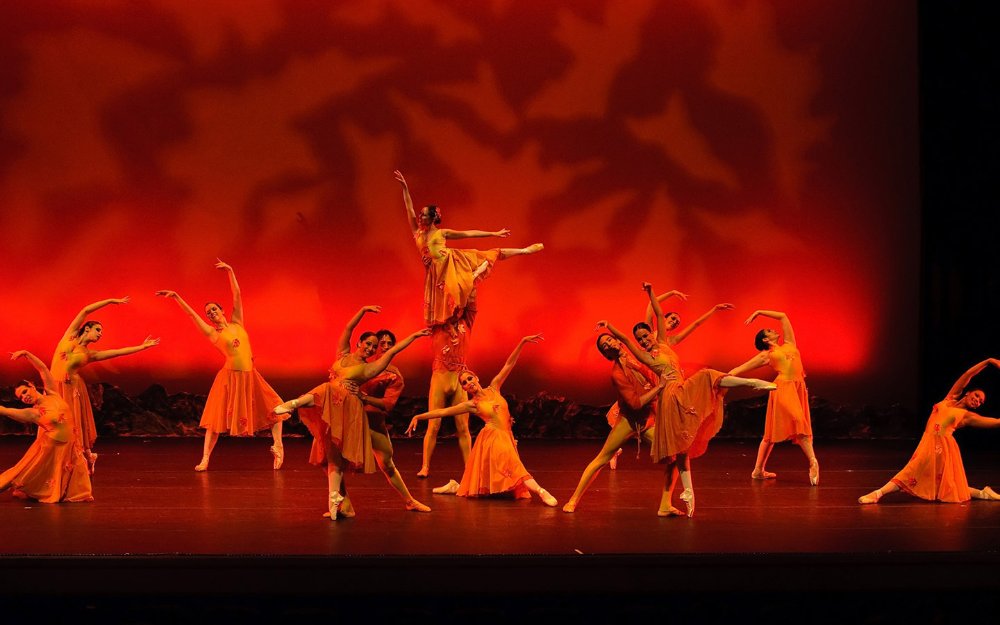 Ballet Etudes of South Florida danza balletto