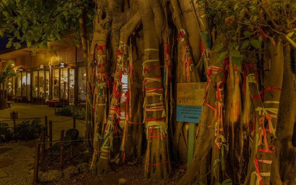 Upper Buena Vista Tiendas y árbol de los deseos con cintas.