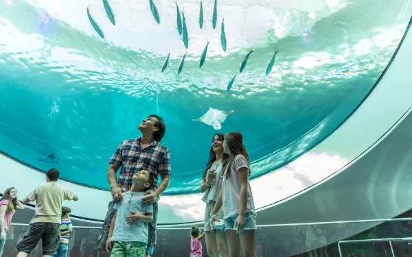 Fische schwimmen über einer Familie im Frost Science Museum Miami