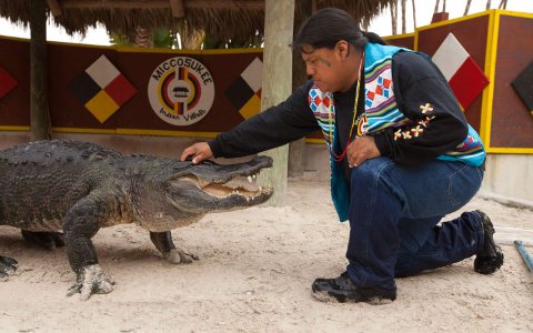 Casino Alligator Alley