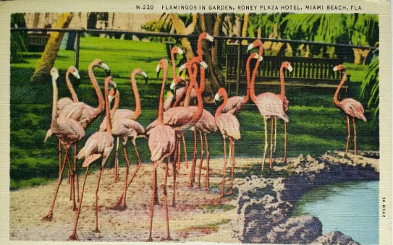 Vintage 1940s- Miami Beach Auditorium, Miami, Florida Postcard (UnPosted)