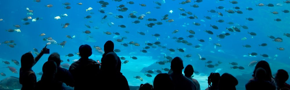 famiglia in acquario