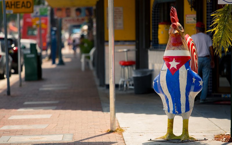 Little Havana escultura de galo em frente ao El Pub