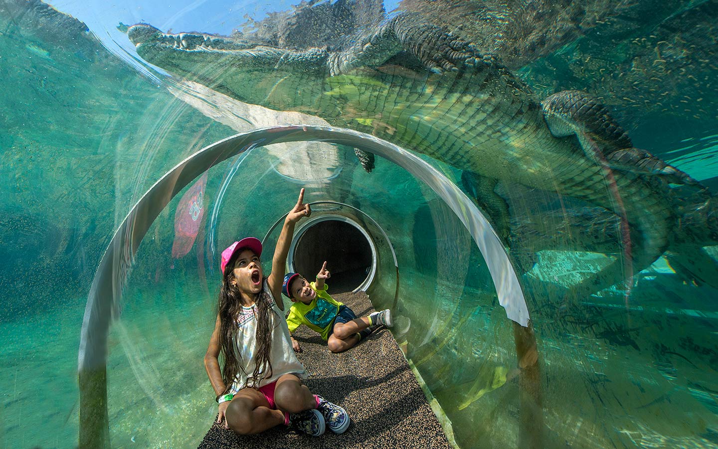 Crawl through the tube in the Everglades exhibit for an underwater point of view
