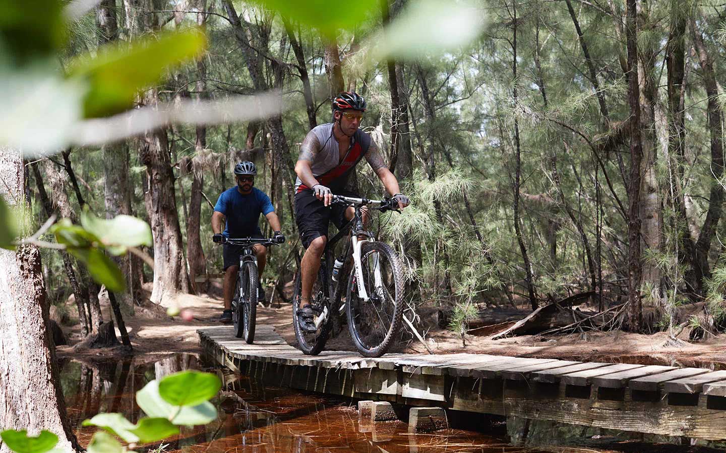 north harbour mountain bike trail