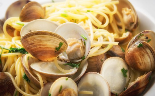 Clams and linguine close view