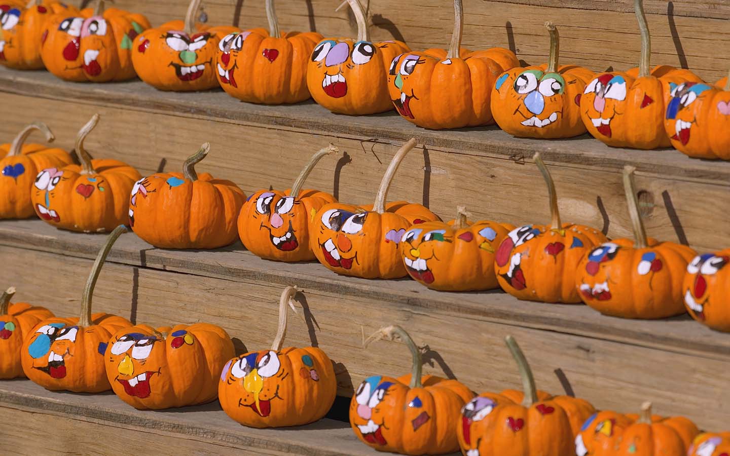L'halloween - Nouveautés, activités pour enfants.